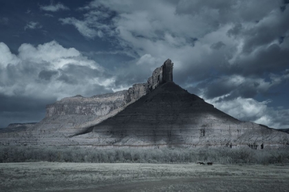 Picture of LANDSCAPE PALISADE BLUFF