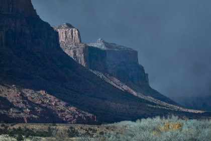 Picture of LANDSCAPE LUMSDEN BLUFF