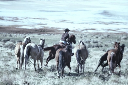 Picture of FORT RANCH GATHERING 1