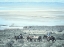 Picture of FORT RANCH GATHERING 2