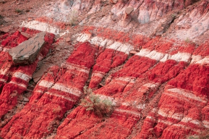 Picture of AUGUST STUDIOS 7364 - PALO DURO CANYON, TX