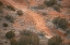 Picture of AUGUST STUDIOS 7371- PALO DURO CANYON, TX