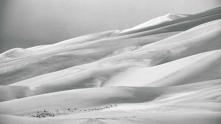 Picture of AUGUST STUDIOS 7567 - MOSCA, CO