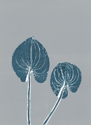 Picture of INDIGO PAIR 1