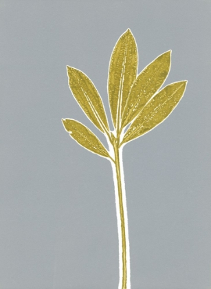 Picture of GRAY STEM 3