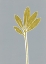 Picture of GRAY STEM 3