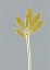 Picture of GRAY STEM 3