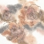Picture of EARTH ROSES 2