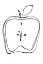 Picture of FRUIT CONTOUR APPLE