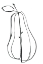 Picture of FRUIT CONTOUR PEAR