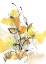 Picture of PARIS YELLOW 1