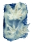 Picture of CYANOTYPE 5