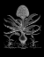 Picture of HYACINTHUS