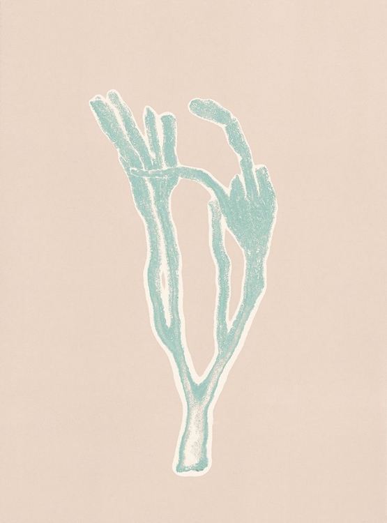 Picture of CORAL 11