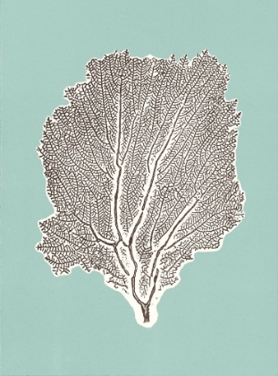 Picture of SEA FAN 1