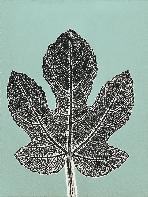 Picture of LEAF C2