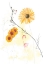Picture of LEAKY FLOWERS 6