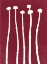 Picture of RUBY STEMS 2