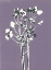 Picture of UNTITLED