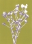 Picture of UNTITLED