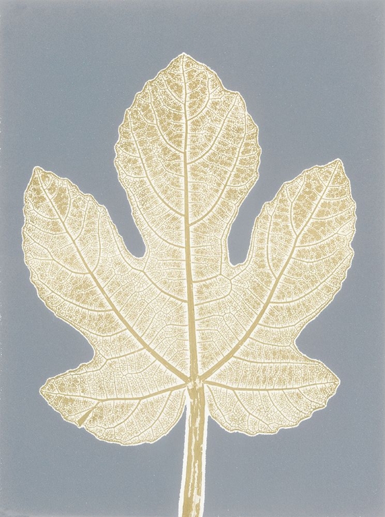 Picture of LEAF B