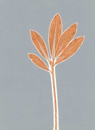Picture of GRAY STEM 3