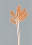 Picture of GRAY STEM 3