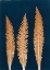 Picture of INDIGO FERN 4