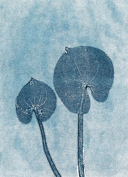 Picture of INDIGO PAIR 4