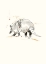 Picture of ARMADILLO 1