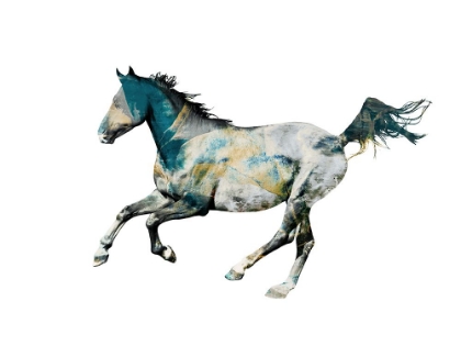Picture of PAINTED HORSES B