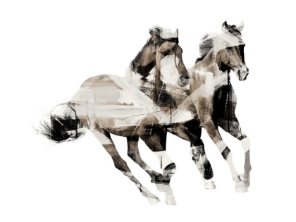 Picture of PAINTED HORSES C