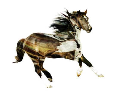 Picture of PAINTED HORSES E