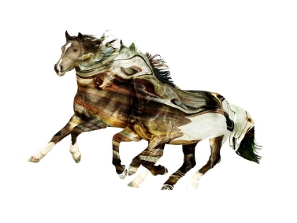 Picture of PAINTED HORSES F
