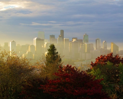 Picture of AUTUMN IN SEATTLE