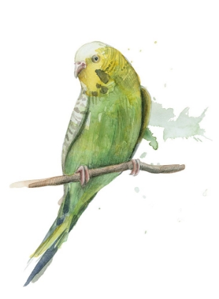 Picture of BIRD 2