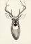 Picture of WATERCOLOR DEERHEAD 2