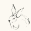 Picture of BUNNY 4
