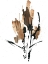 Picture of SEPIA FLORALS 3