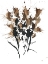 Picture of SEPIA FLORALS 4