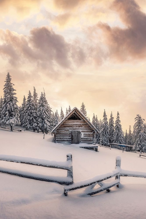 Picture of SNOWY CABIN IN THE WOODS