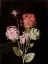 Picture of BOUQUET 1 DARK