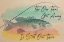 Picture of FISH GOT AWAY