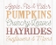 Picture of FALL STUFF
