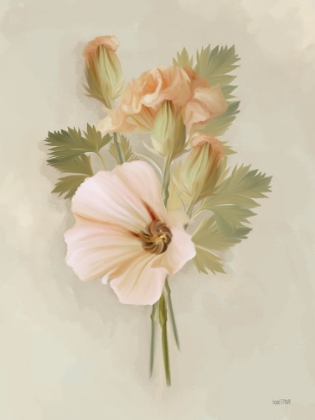 Picture of PEACH CARNATIONS II