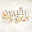 Picture of WILDFLOWERS