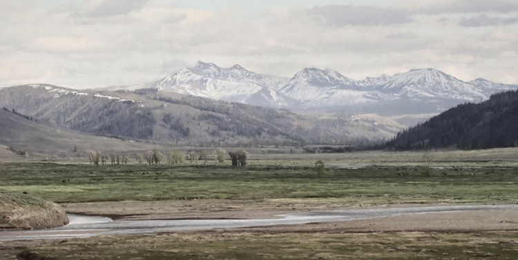 Picture of LAMAR VALLEY