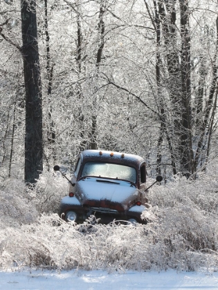 Picture of VINTAGE ICY FORD