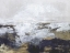 Picture of STILLS OF GRAY