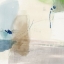 Picture of AQUAMARINE WHISPERS II